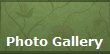Photo Gallery